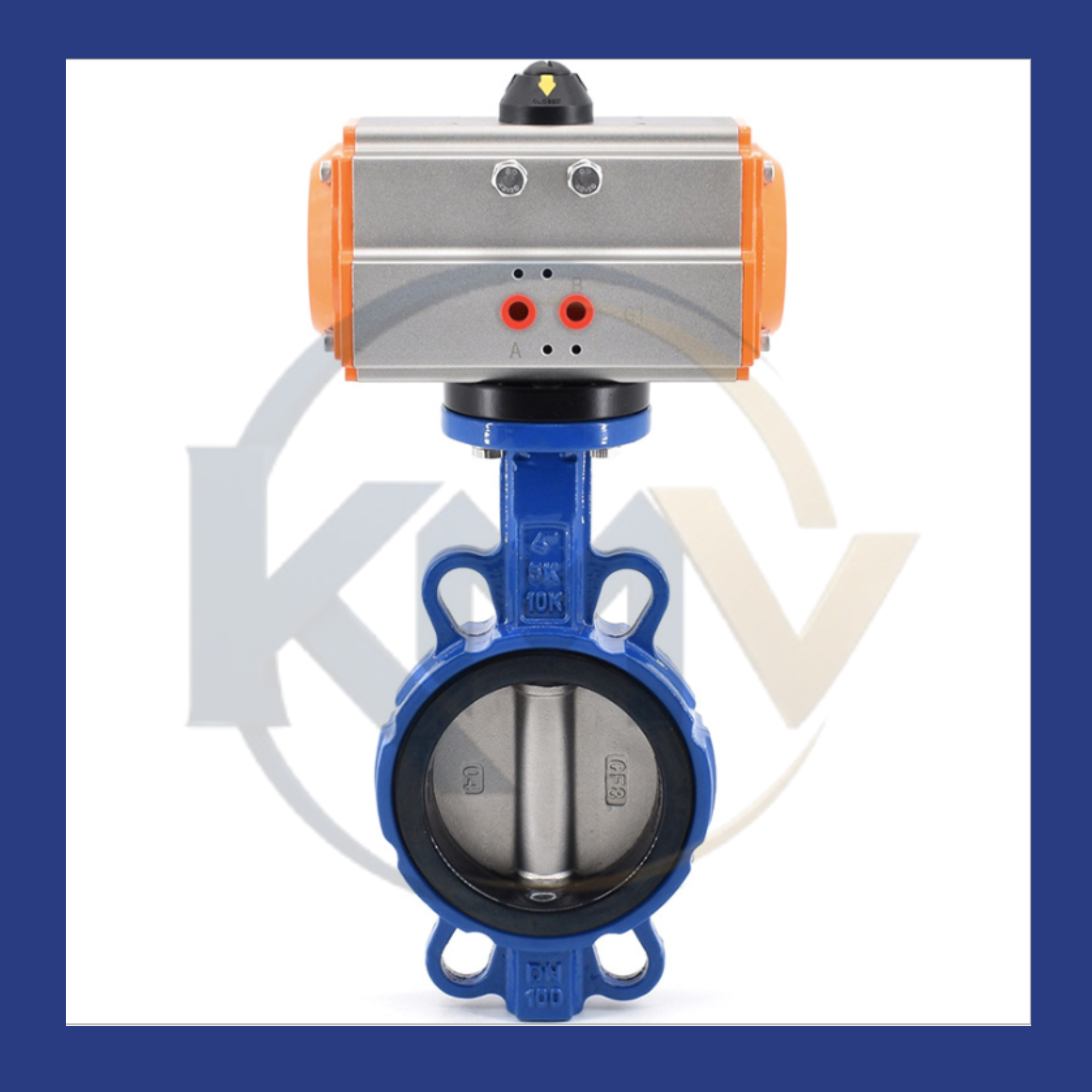 Butterfly Valve